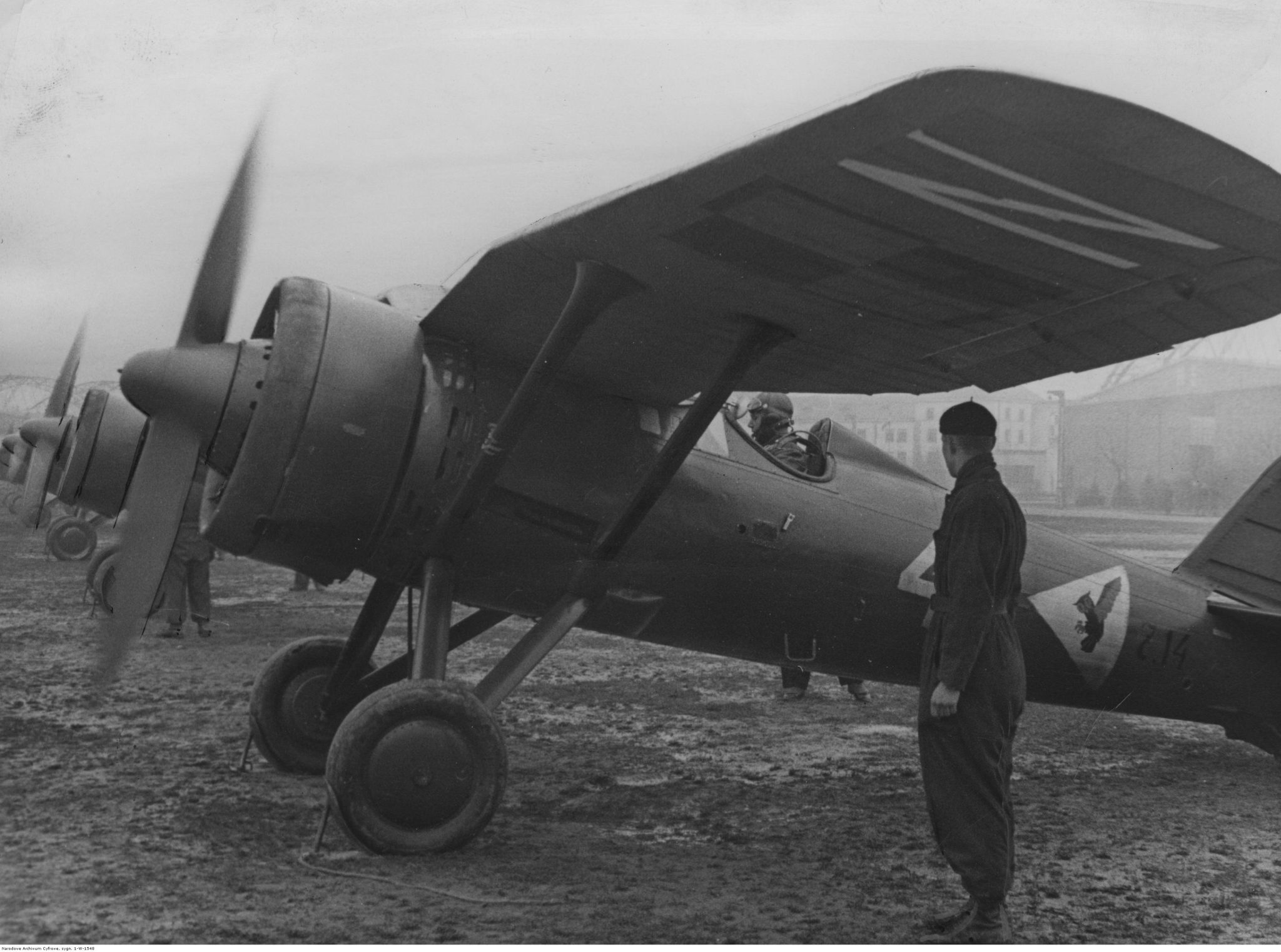 PZL P.11 gull-wing fighters of the Polish Air Force, 1939
