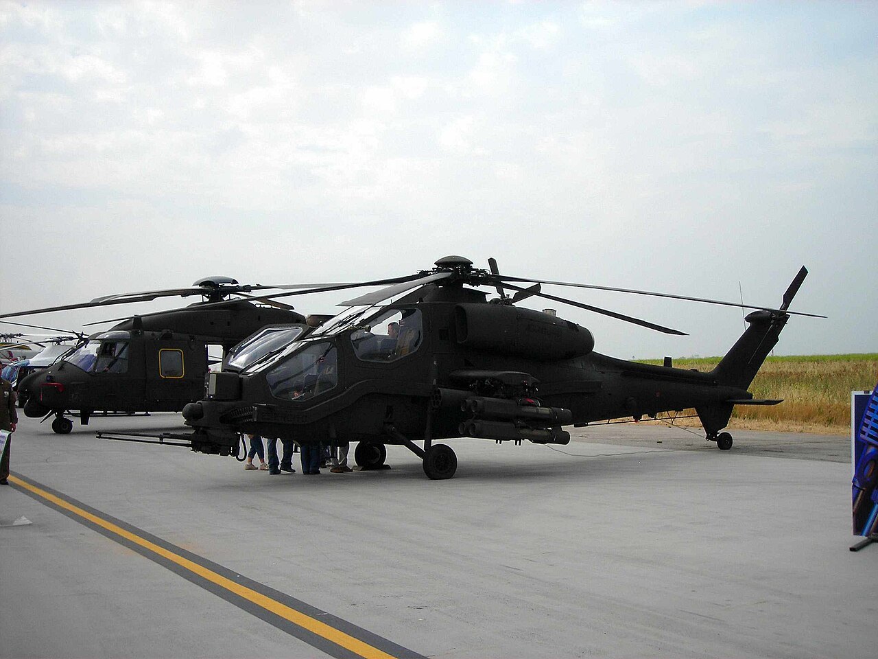 Mangusta