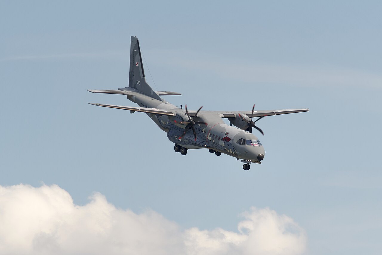 C295