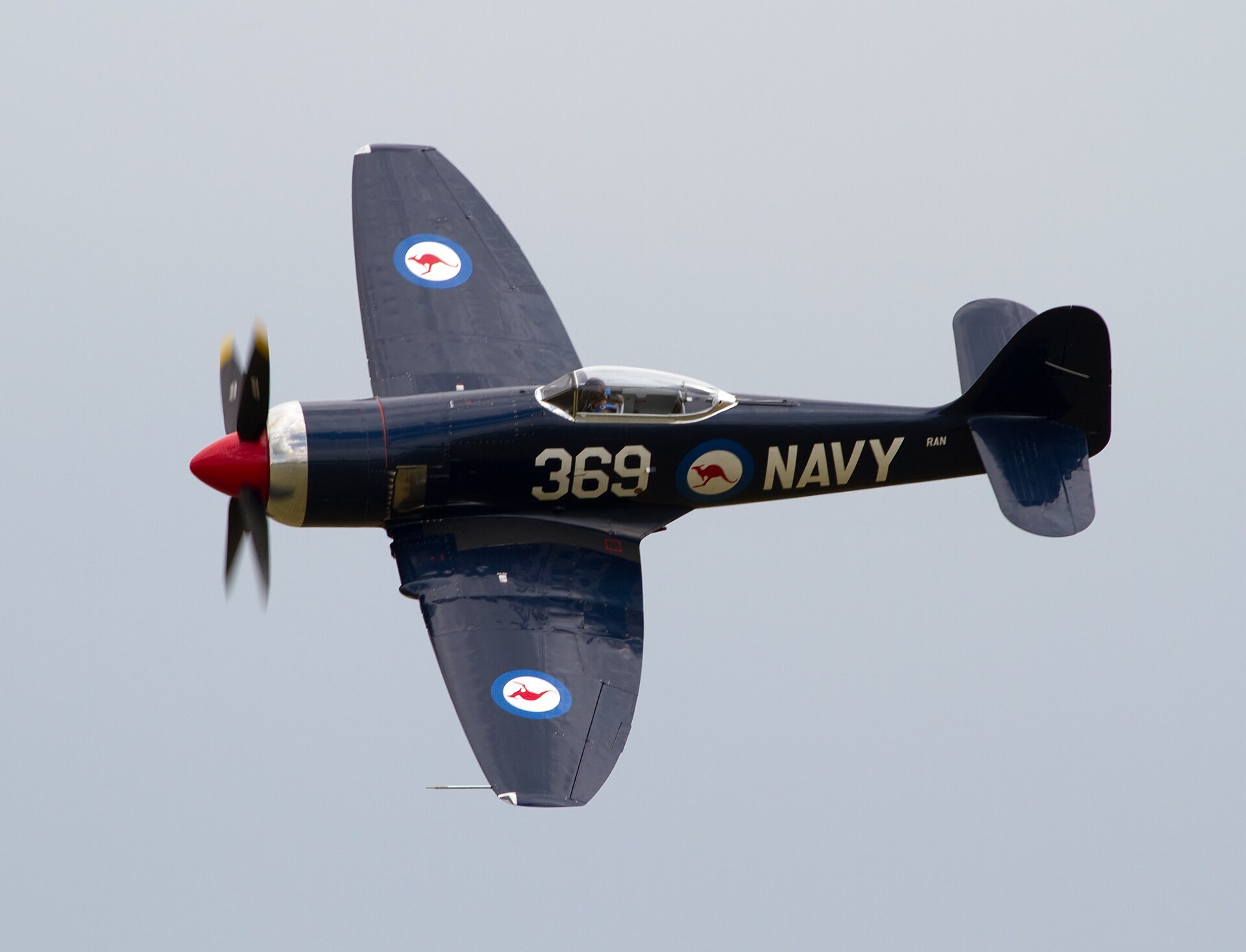 Sea Fury