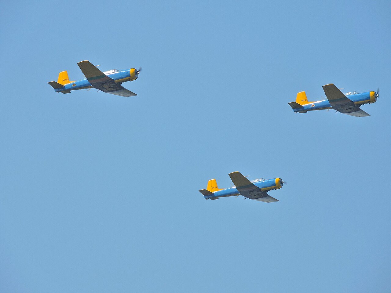 CJ-6