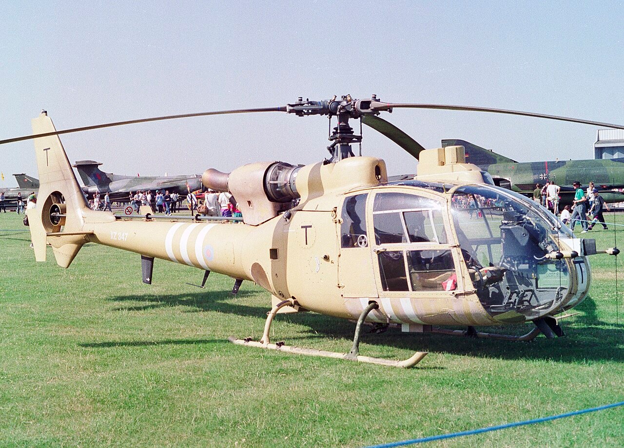 Gazelle