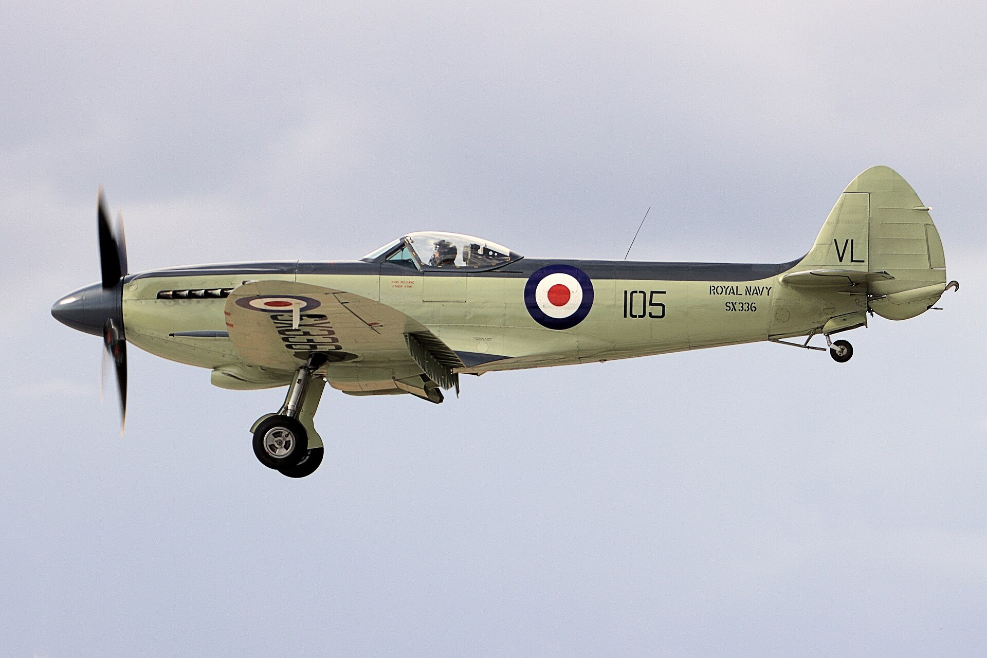 Seafire