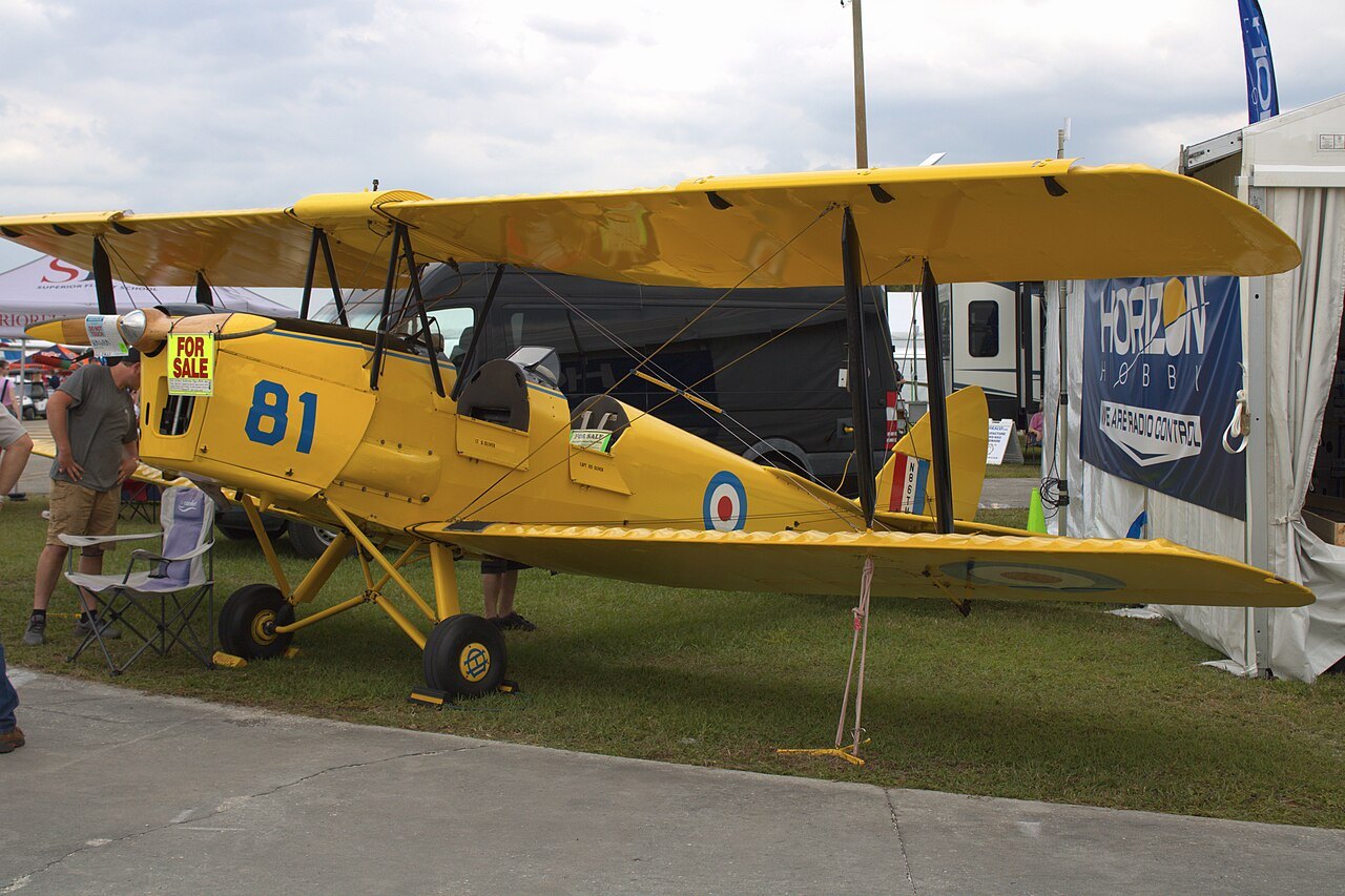Tiger Moth