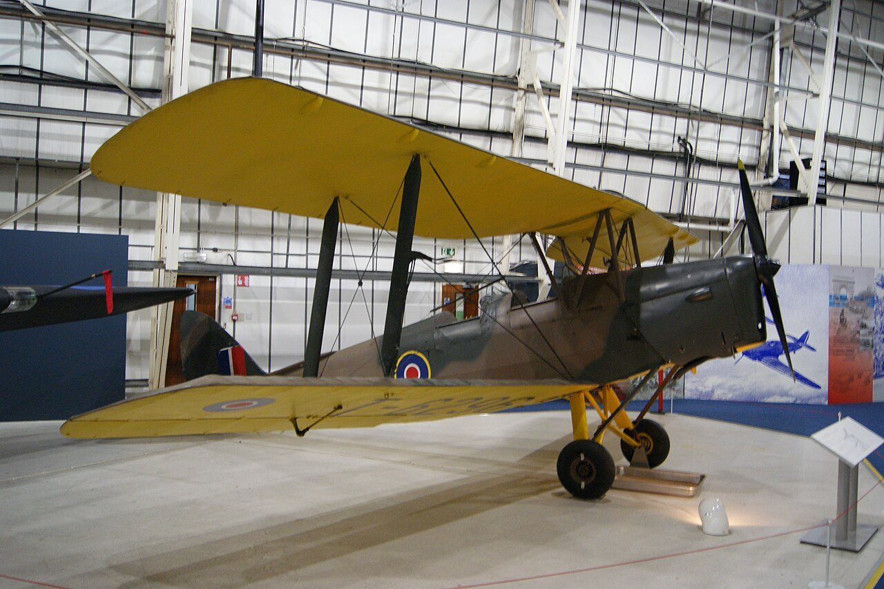 Tiger Moth