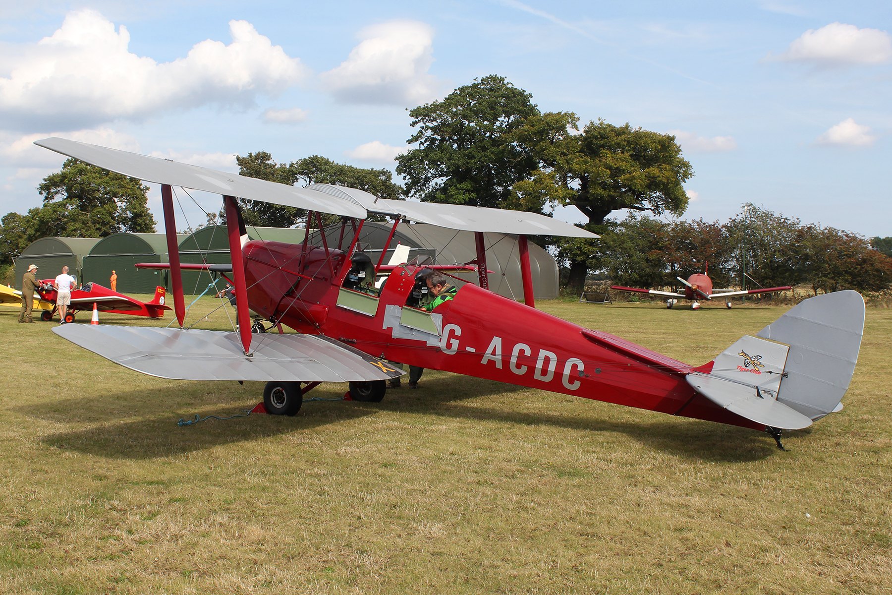 Tiger Moth