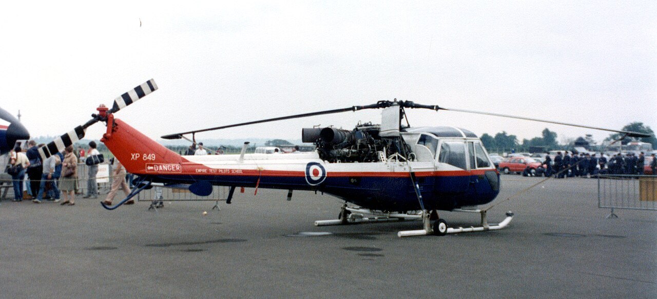 Wasp