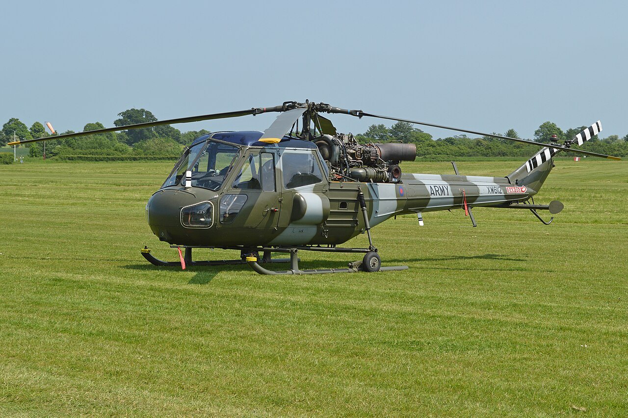Wasp