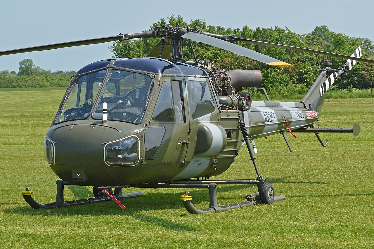 Wasp